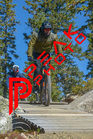198ND600_10;27_09.23.23_6341
