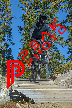 198ND600_10;28_09.23.23_6346