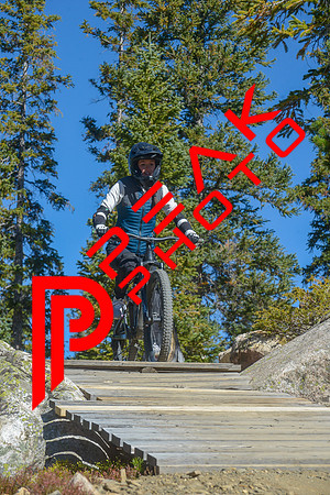 198ND600_10;30_09.23.23_6348