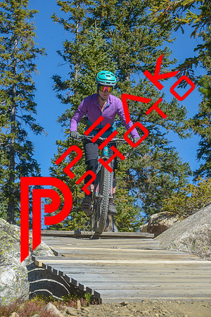 198ND600_10;31_09.23.23_6350