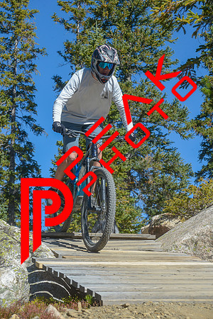 198ND600_10;31_09.23.23_6351