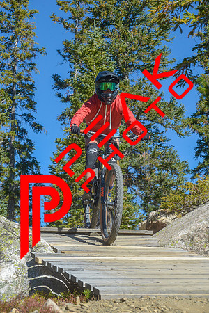 198ND600_10;32_09.23.23_6353