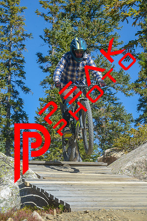 198ND600_10;32_09.23.23_6356