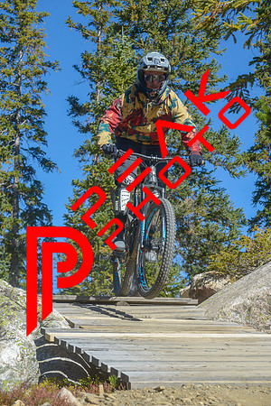 198ND600_10;35_09.23.23_6358