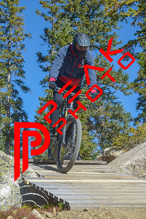 198ND600_10;41_09.23.23_6363