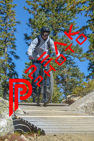 198ND600_10;42_09.23.23_6367