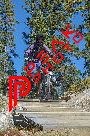 198ND600_10;52_09.23.23_6377
