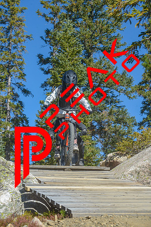 198ND600_10;52_09.23.23_6379