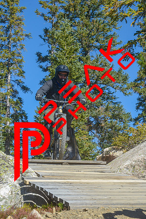 198ND600_10;52_09.23.23_6380