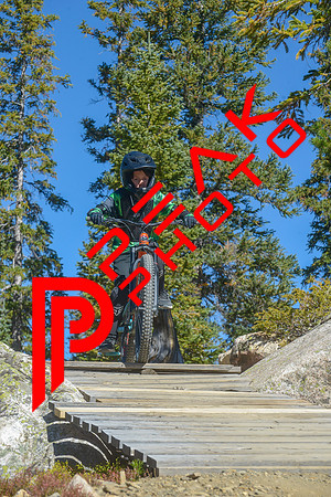 198ND600_10;56_09.23.23_6392