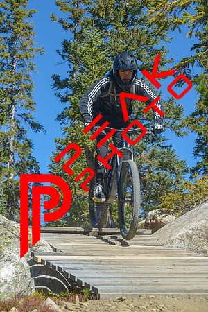 198ND600_11;00_09.23.23_6405