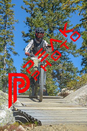 198ND600_11;11_09.23.23_6426