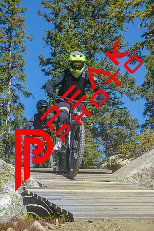 198ND600_11;11_09.23.23_6427