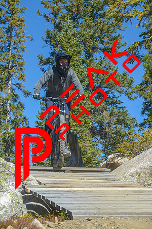 198ND600_11;11_09.23.23_6429