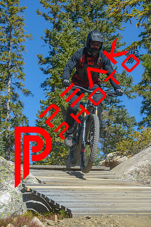 198ND600_11;13_09.23.23_6431