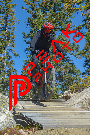 198ND600_11;13_09.23.23_6433