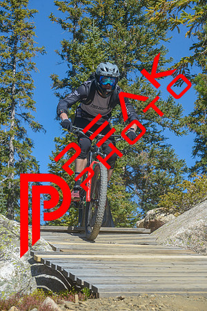 198ND600_11;14_09.23.23_6434