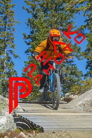 198ND600_11;15_09.23.23_6436