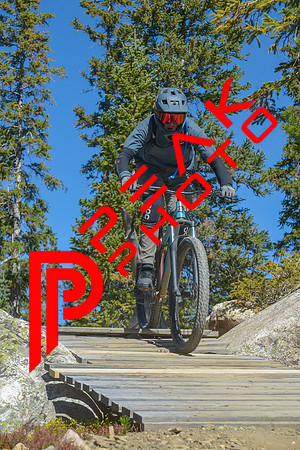 198ND600_11;23_09.23.23_6438