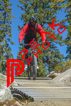 198ND600_11;24_09.23.23_6440
