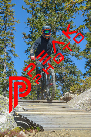 198ND600_11;26_09.23.23_6445