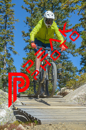 198ND600_11;26_09.23.23_6446