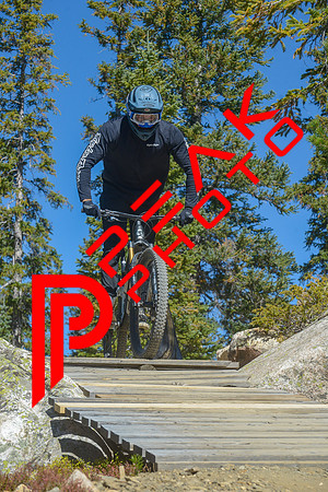 198ND600_11;26_09.23.23_6447
