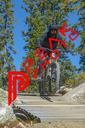 198ND600_11;26_09.23.23_6448