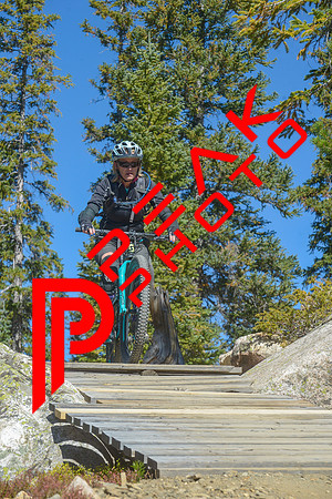 198ND600_11;27_09.23.23_6454