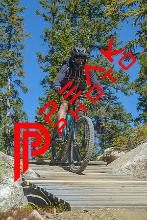198ND600_11;29_09.23.23_6457
