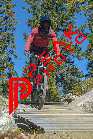 198ND600_11;32_09.23.23_6458