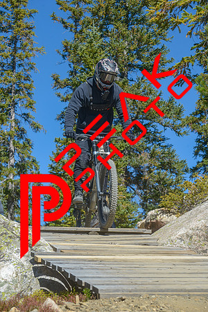 198ND600_11;33_09.23.23_6461