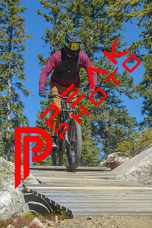 198ND600_11;33_09.23.23_6464