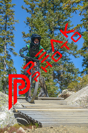 198ND600_11;42_09.23.23_6469