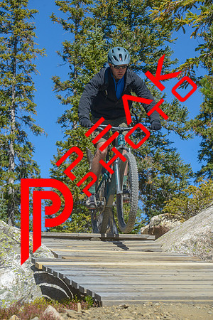198ND600_11;41_09.23.23_6468