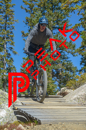 198ND600_11;45_09.23.23_6471