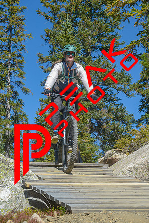 198ND600_11;45_09.23.23_6472