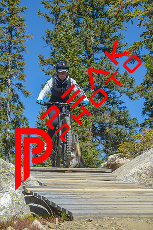 198ND600_11;46_09.23.23_6473