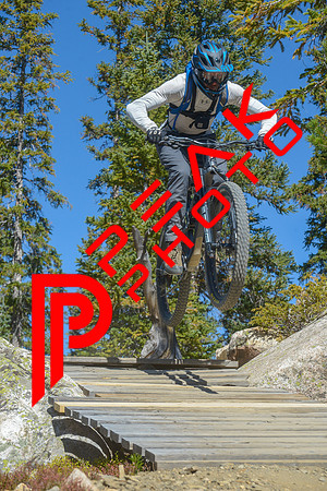 198ND600_11;43_09.23.23_6470