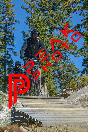 198ND600_10;16_09.24.23_6719