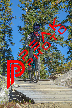 198ND600_10;22_09.24.23_6732