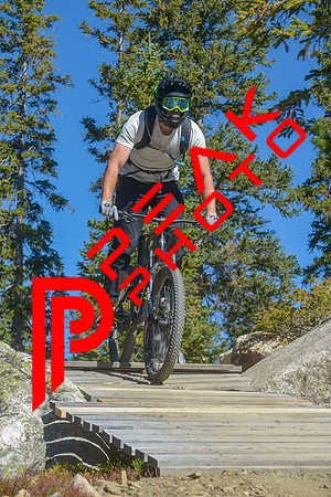 198ND600_10;29_09.24.23_6744