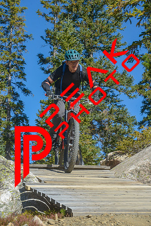 198ND600_10;35_09.24.23_6753