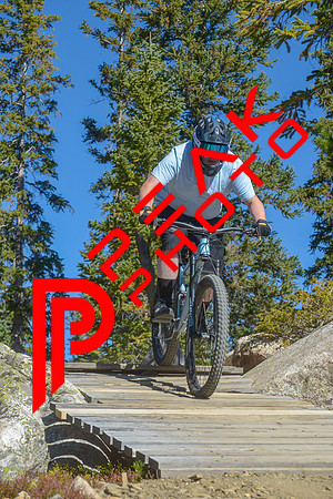 198ND600_10;35_09.24.23_6755