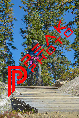 198ND600_10;38_09.24.23_6759