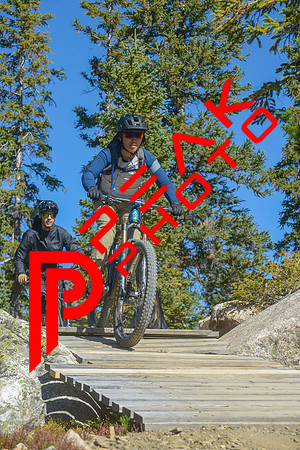 198ND600_10;42_09.24.23_6775
