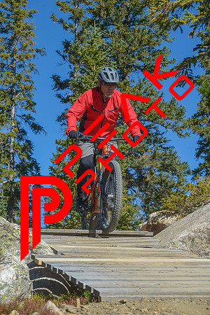 198ND600_10;45_09.24.23_6779