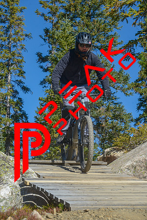 198ND600_10;45_09.24.23_6777