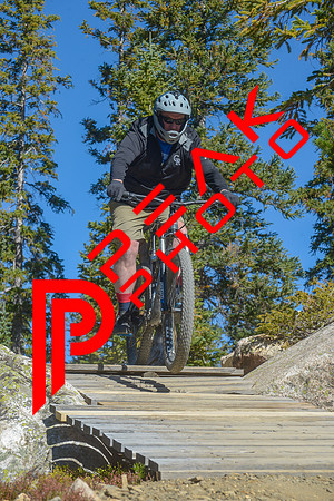 198ND600_10;45_09.24.23_6778