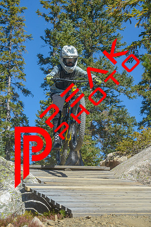 198ND600_10;57_09.24.23_6815